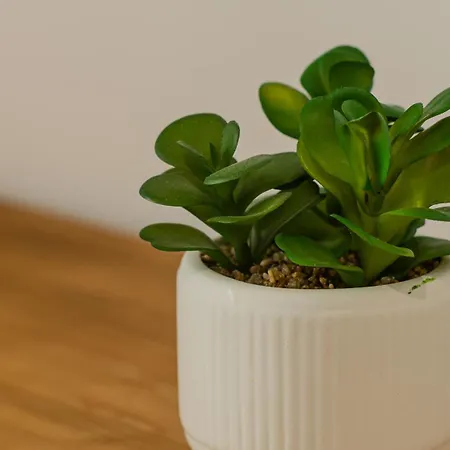 Apartamento Rifugio Nel Centro Storico & Free Parking *